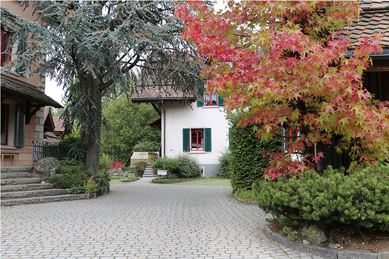 Physiotherapie & Osteopathie Haus 28, Affoltern am Albis, Gebäude Aussenansicht